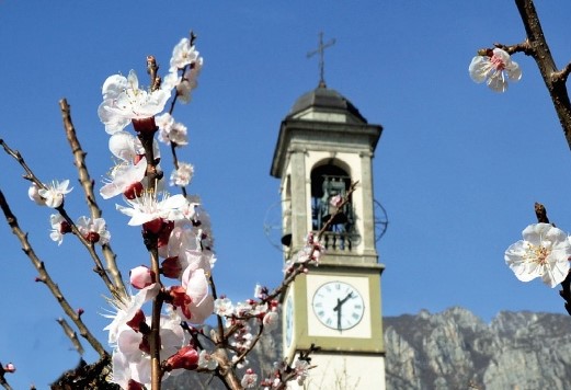 Campanile_Castello